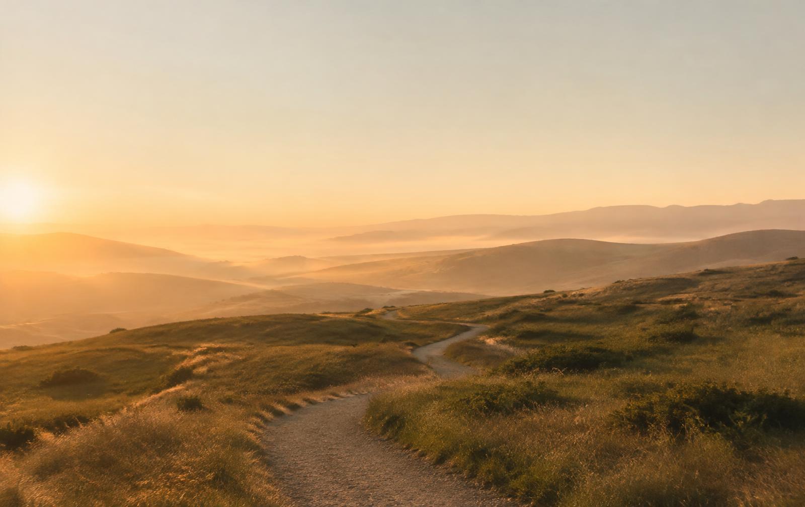 A winding path through golden grassland at sunrise